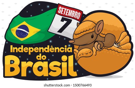 Happy three-banded armadillo with starry greeting sign, Brazil flag and calendar with reminder date to celebrate Brazil Independence Day this th September (written in Portuguese).