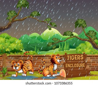 Tigres felices en la ilustración del zoológico