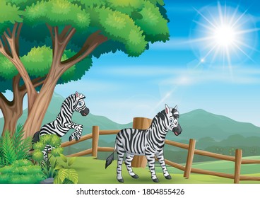 Happy two zebra playing at the open zoo