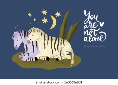 Happy valentine day vector textured animal card in a flat style with quote and real facts about zebras love. Zebra horse couple sleeping together. You are not alone.