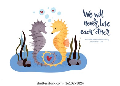 Happy valentine day vector textured seahorse animal card in a flat style with quote and real facts about love. Romantic illustration. Seahorses swim and hold on to their tails. 