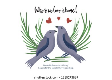Happy valentine day vector textured иowerbird animal card in a flat style with quote and real facts about love. Romantic bird couple illustration.