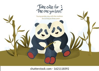 Happy valentine day vector textured panda bear animal card in a flat style with quote and real facts about love. Romantic illustration with cute pandas. Take care for the one you love.