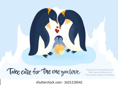 Happy valentine day vector textured animal card in a flat style with quote and real facts about love. Romantic illustration. Penguin family take care of a baby.