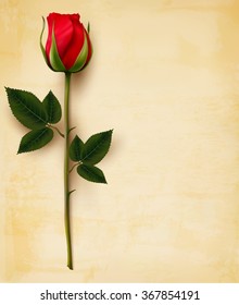 Happy Valentine's Day background. Single red rose on an old paper background. Vector.