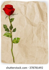 Happy Valentines Day background. Single red rose on an old paper background. EPS 10 vector file included