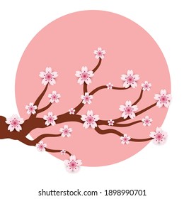 Happy Valentine's Day! Beautiful Sakura Tree! Abstract paper art 3D Sakura on Pink background. Valentines Day greeting  card. Vector isolated illustration
