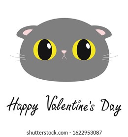 Happy Valentines Day. British Shorthair cat round head face icon. Cute funny cartoon character. Big yellow eyes. Sad emotion. Kitty Whisker Baby pet collection. White background. Flat design. Vector