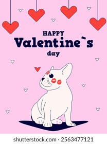 Happy Valentine's day card with kissed French bulldog. Flat vector illustration.