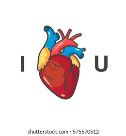 Happy Valentine's Day Card With A Real Heart And Typography. I Love You. Vector Illustration.