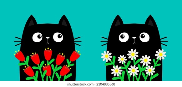 Happy Valentines Day. Cat holding daisy chamomile. Camomile tulip flower bouquet. Cute cartoon kawaii funny animal. Kitten set. Love greeting card, tshirt print. Flat design. Blue background. Vector