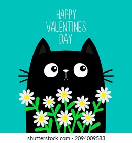 Happy Valentines Day. Cat kitten kitty holding daisy chamomile. Camomile flower bouquet. Cute cartoon kawaii funny animal. Love greeting card, tshirt print. Flat design. Blue background. Vector