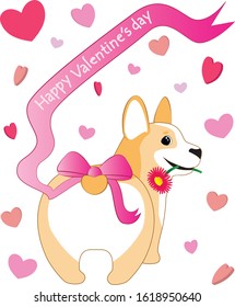 Happy Valentine's day corgi flower hearts 