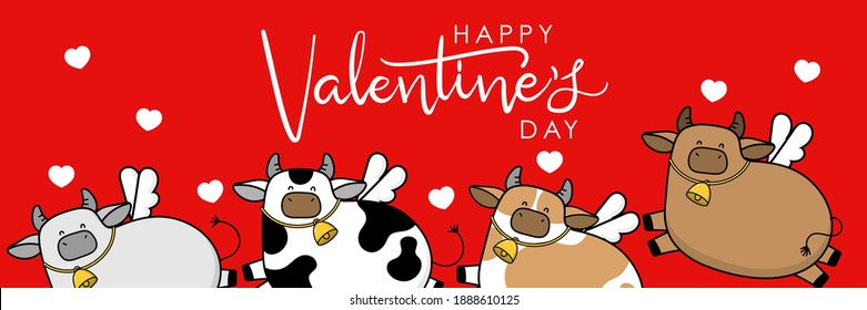 Happy Valentine's Day with cute cow have cupid wings. 2021 The year of the ox. Love holidays cartoon character. -Vector