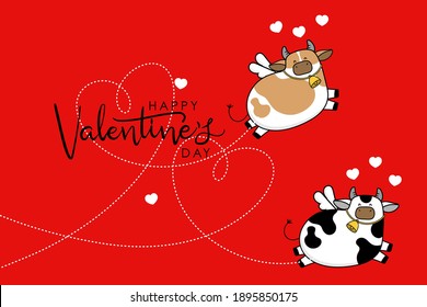 Happy Valentine's Day with cute cow have cupid wings. 2021 The year of the ox. Love holidays cartoon character. -Vector