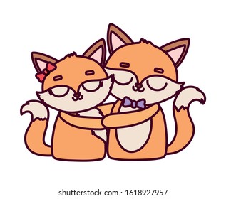 happy valentines day, cute fox couple with bow decoration love vector illustration
