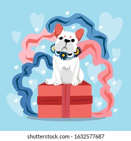 Happy Valentine's Day with cute french bulldog and gift box, Valentines card and poster