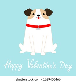 Happy Valentines Day. Dog sitting. White puppy pooch. Red collar bone. Cute cartoon kawaii funny baby character. Flat design style. Help homeless animal Adopt me. Pet adoption. Blue background. Vector