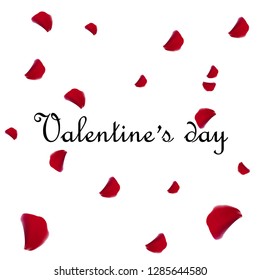 Happy Valentines Day. Holiday Greeting card.on a white background. red rose petals  in frame.