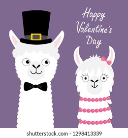 Happy Valentines Day. Llama alpaca animal set. Love couple. Girl Boy. Black hat. Face neck. Fluffy hair fur. Cute cartoon funny kawaii baby character. Love card. Flat design. Violet background. Vector