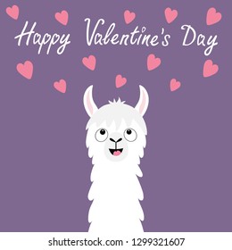 Happy Valentines Day. Llama alpaca animal face looking up to pink hearts. Cute cartoon funny kawaii smiling baby character. Love greeting card. Flat design. Violet background. Vector illustration