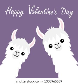 Happy Valentines Day. Llama alpaca animal set. Face neck. Fluffy hair fur. Cute cartoon funny kawaii baby character. Love greeting card. Flat design. Violet background. Isolated. Vector illustration