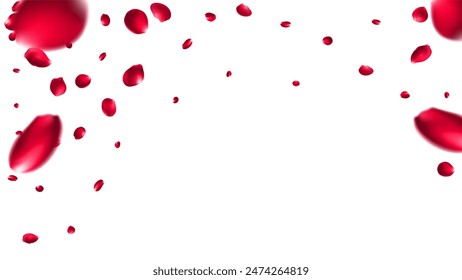 Happy Valentine's day love day Singapore and  summer valentine brazil background. Luxury flower design with rose flower texture illustration . Mesh Gradient was used