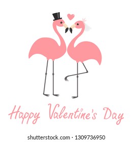 Happy Valentines Day. Pink flamingo set. Wedding couple. Exotic tropical bird. Black hat, veil, heart. Bride and groom. Cute cartoon character. Zoo animal. Flat design. White background Vector