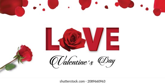 Happy valentines day . Rose and rose petals on white background . Festive decoration. Wedding background.