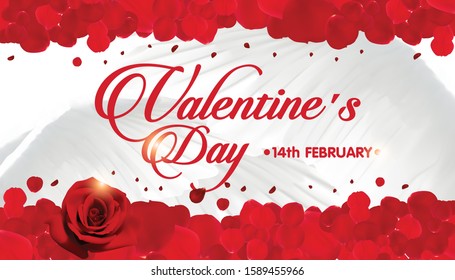 Happy Valentine's day text .red rose petals on white wing background, Vector illustration. Romantic quote postcard, card, invitation, banner template.