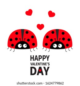 Happy Valentines Day. Two cute red lady bug ladybird icon set couple with hearts. Cartoon kawaii funny baby character. Love greeting card. Flat design. White background. Vector illustration