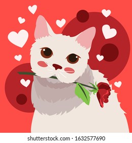 Happy Valentine's Day of white cat with rose in mouth , Valentines card and poster