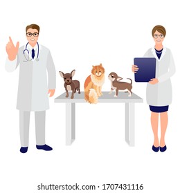 Happy vet doctor and hurse with dogs and cat. Pet shop poster dog and cat silhouette. Vector cartoon illustration