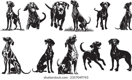 happy vizsla dog vector set