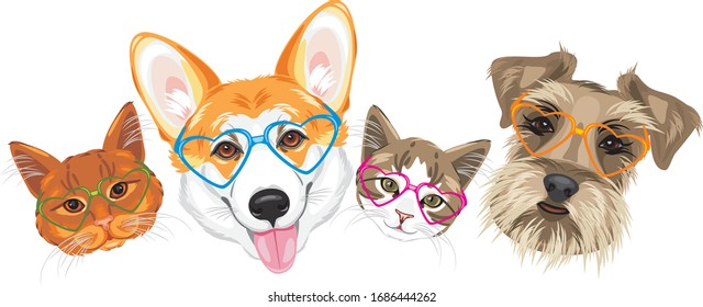 Happy welsh corgi, schnauzer and two cute cats in glasses heart shaped. Vector