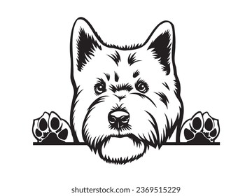 Happy West Highland terrier peeking dog. Westie dog portrait. Black and white vector illustration.