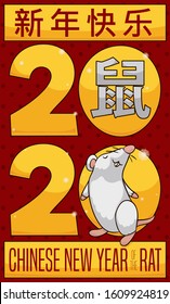 Happy white rodent with glossy metallic signs to celebrate 2020: the Chinese New Year of the Rat (written in Chinese calligraphy).