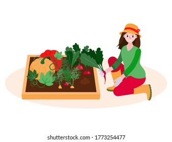 Happy Woman harvests vegetables in her garden. Female farmer in hat collects local radishes. Domestic organic pumpkin, carrots in farmland. Female caring about crop plants.