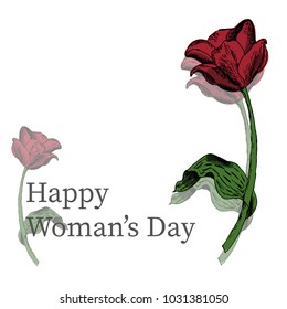 Happy woman's day vector card with hand drawn sketch red tulip on white background.