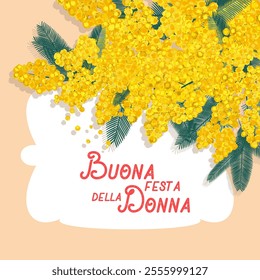 Happy Women's Day greeting greeting card poster background in Italian, Mimosa flowers festive banner, web.