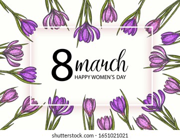 Happy Women's Day. Vector background to the 8th of March (Women's Day). Spring flowers hand drawn lilac and pink crocus. Vintage hand drawn set of crocus. 