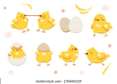 happy yellow chicken collection eggs flowers