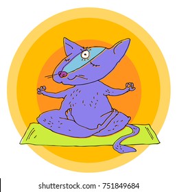 happy yoga cat open the third eye and meditates. the sun rises. Vector cartoon illustration