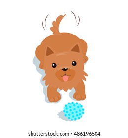 Happy Yorkshire Terrier dog want to play a ball illustration