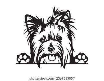 Happy Yorkshire terrier peeking dog. York dog portrait. Black and white vector illustration.