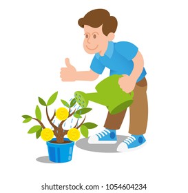 Happy young man which watering small green tree bonsai with gold coins dollars money investor businessman finance new startup. Modern vector style illustration flat design cartoon character.