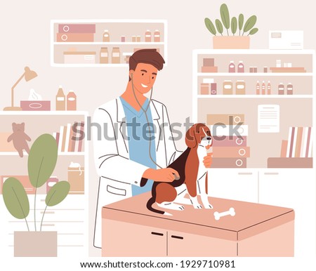 Happy young veterinarian examining dog with stethoscope in modern vet clinic. Health check or medical examination of animal in veterinary hospital. Colored flat vector illustration