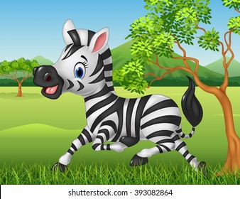 Happy zebra running in the jungle