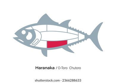 Haranaka O-Toro Chutoro. Tuna Cuts line diagram.  Japanese style