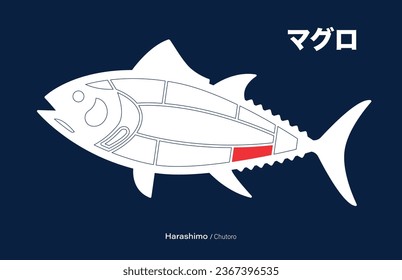 Harashimo Chutoro, Tuna japanese Cuts diagram on blue background.